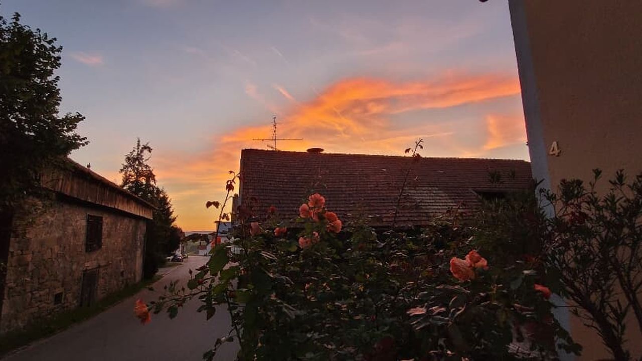 20230909_194609.jpg 20230909_194609.jpg